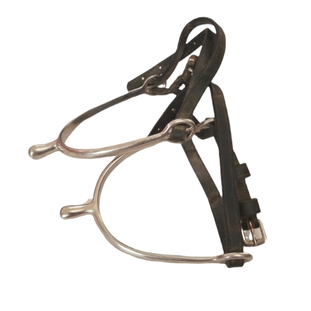 Shires Mens Ball End Spurs & Spur Leather Straps